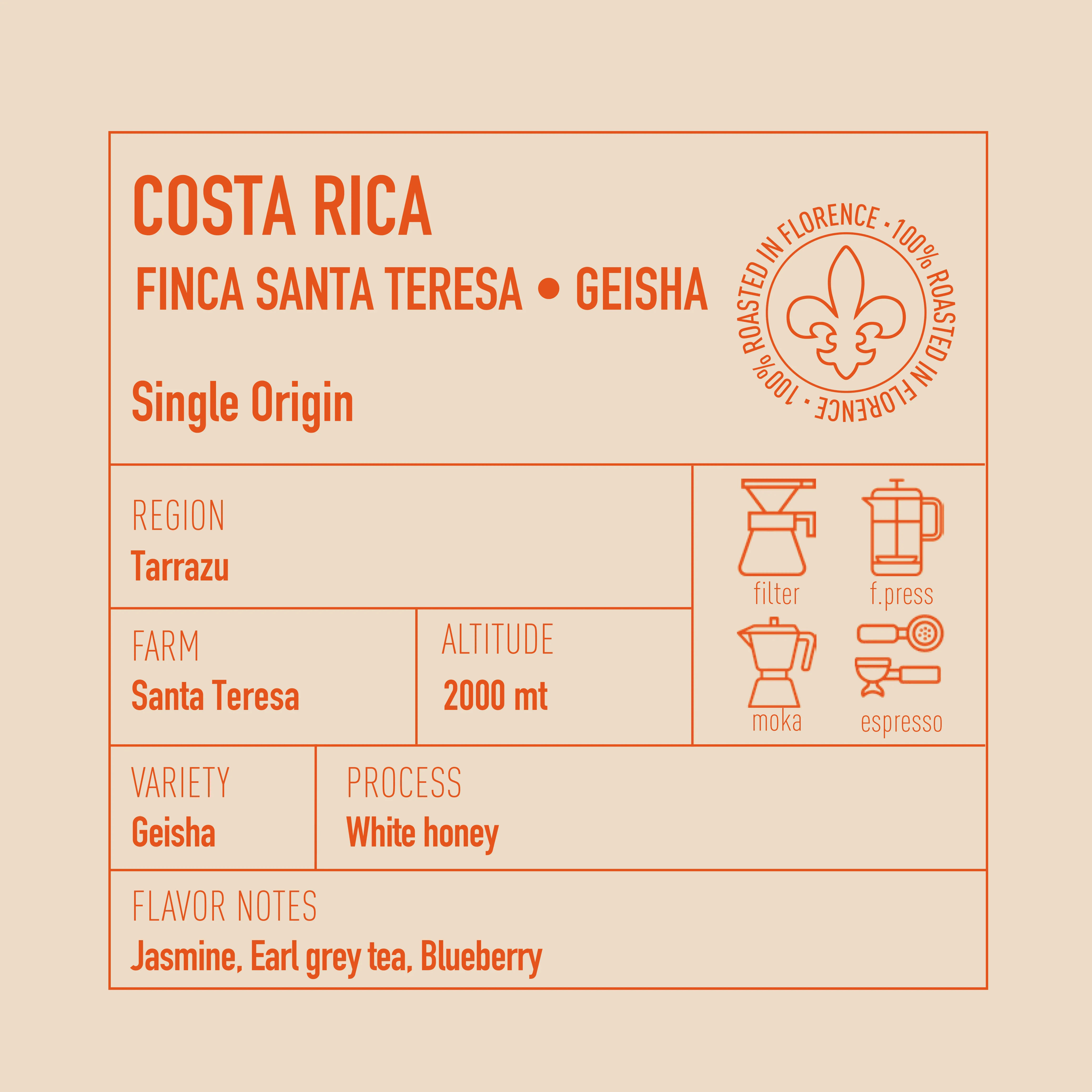 Costa Rica Finca Santa Teresa Geisha - Image 3