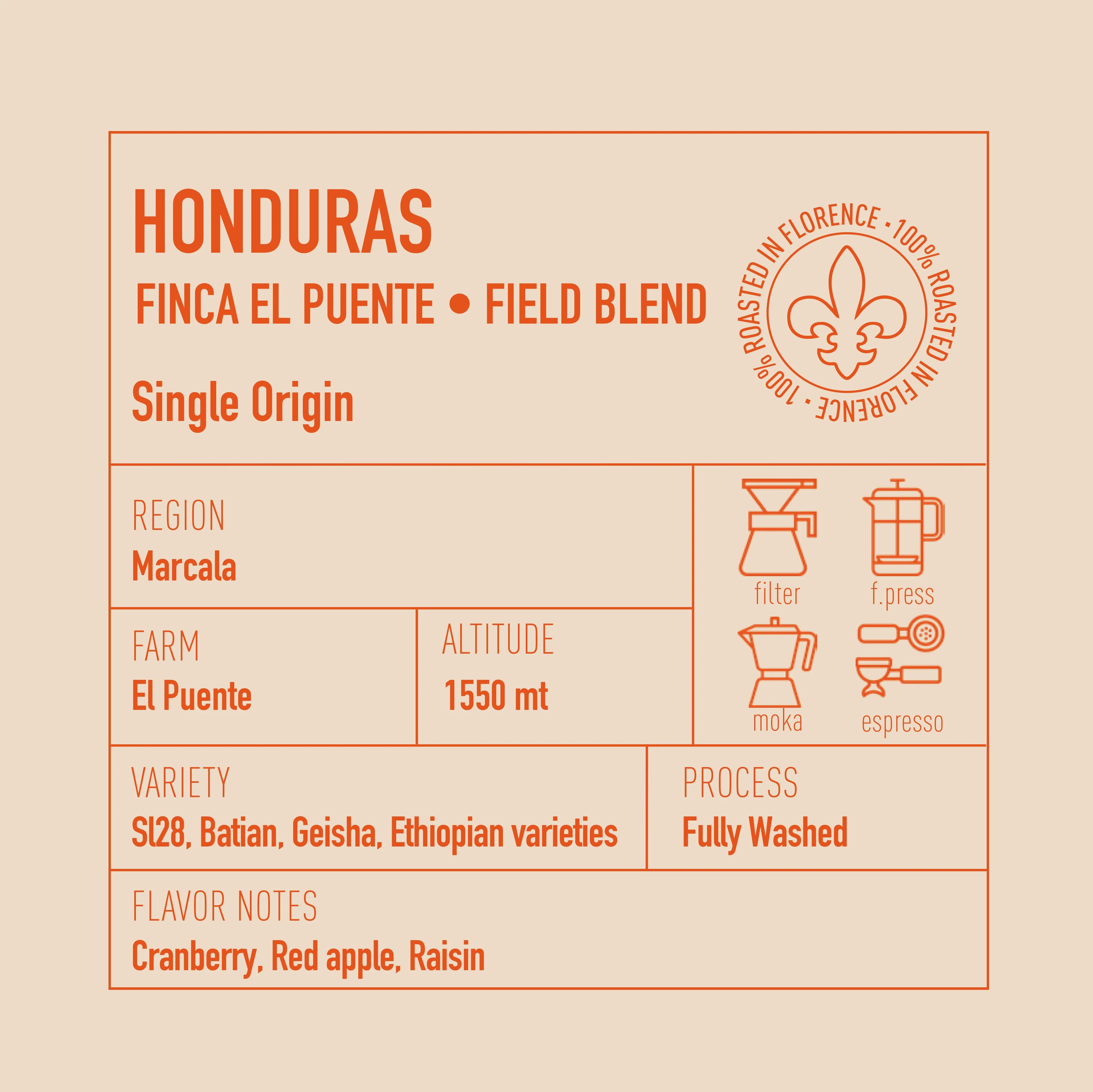 Honduras Finca El Puente Field Blend - Image 3